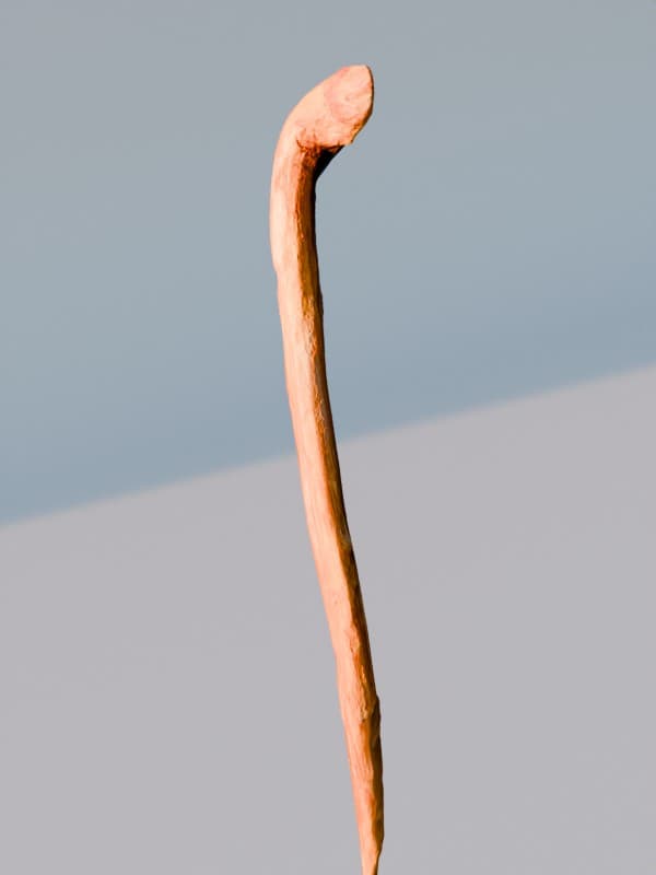 Hiking Stick